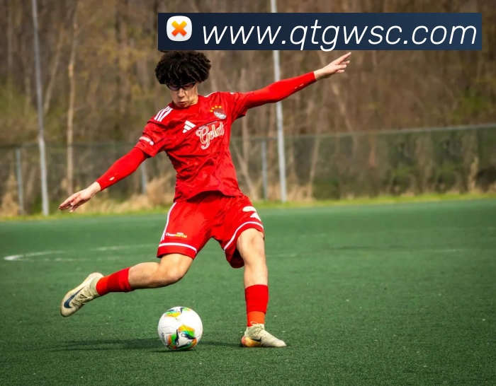 九游·官方版web站入口 - jiuyou j9(中国)平台生态图